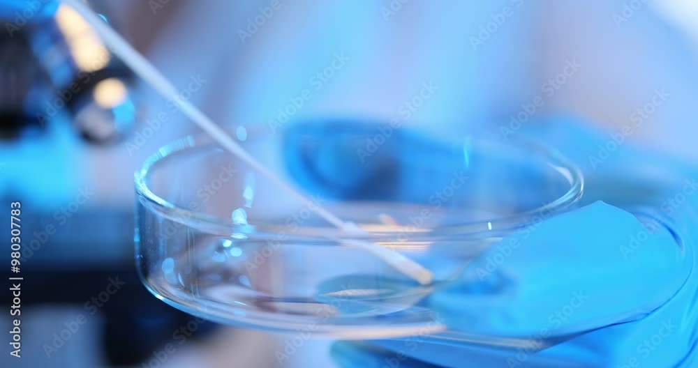 Laboratory worker takes samples of bacteria viruses into Petri dish during scientific research Laboratory worker takes samples of bacteria viruses into Petri dish during scientific research