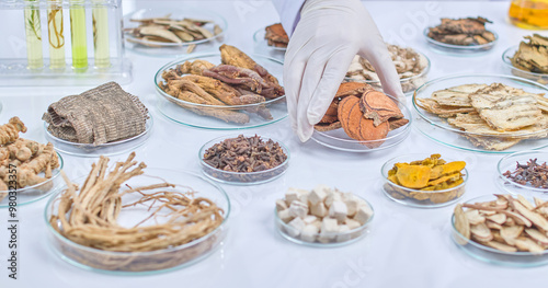 A scientist's gloved hand reaches for a petri dish filled with dried mushroom slices. The image highlights research involving natural ingredients.