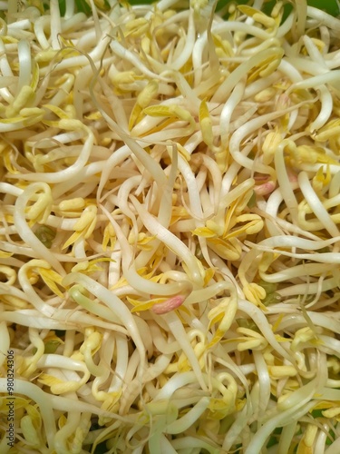 Bean Sprout, Soybean Sprout, Green Bean Sprout, Moyashi, vegetable food, common ingredient across the world, particularly common in Eastern Asian cuisine, green gram beans sprout, top view market tray