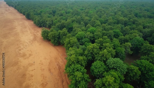 The Shift from Forest to Desert: A Representation of Deforestation and Degradation