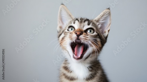 Amusing Feline Surprise - Captivating Kitten Caught in a Moment of Vocal Excitement