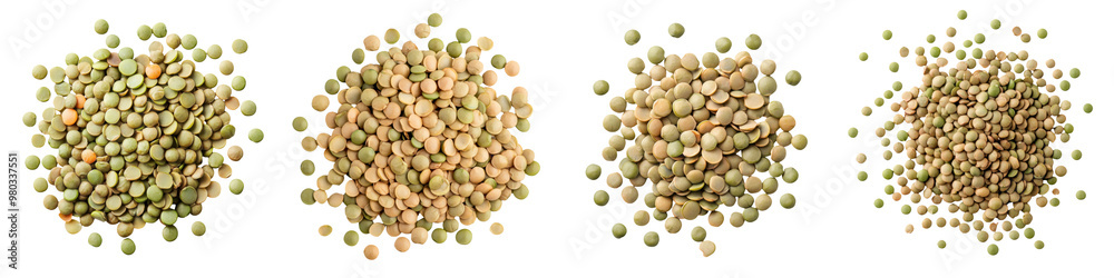 A collection of various grains showcasing their unique textures and colors in a visually appealing arrangement. transparent background A collection of various grains showcasing their unique textures and colors in a visually appealing arrangement. transparent background