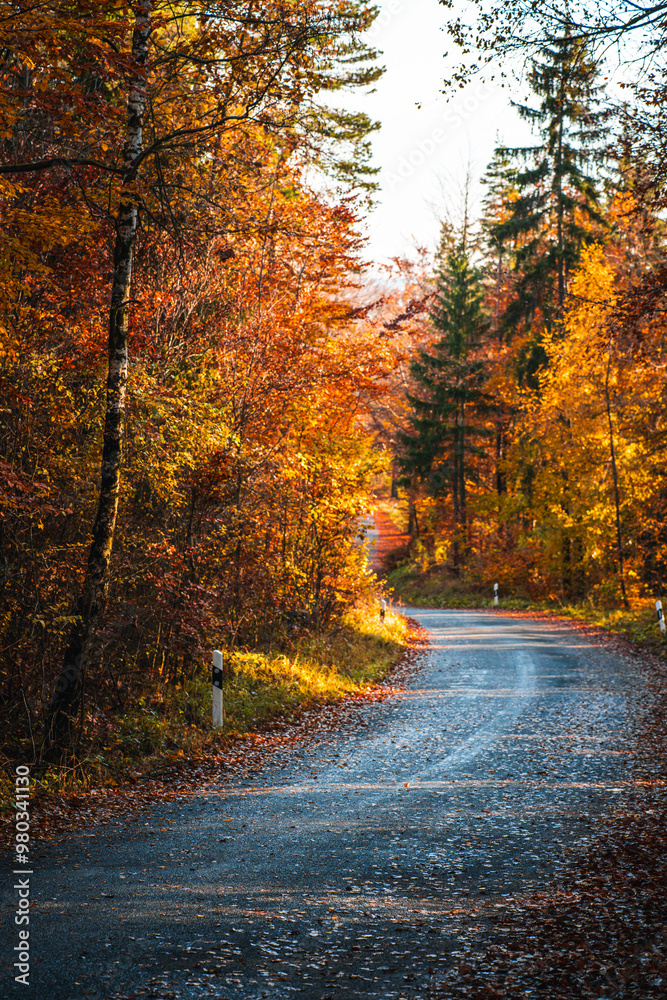Winding Autumn Road with Golden Foliage in a Serene Forest Setting Winding Autumn Road with Golden Foliage in a Serene Forest Setting