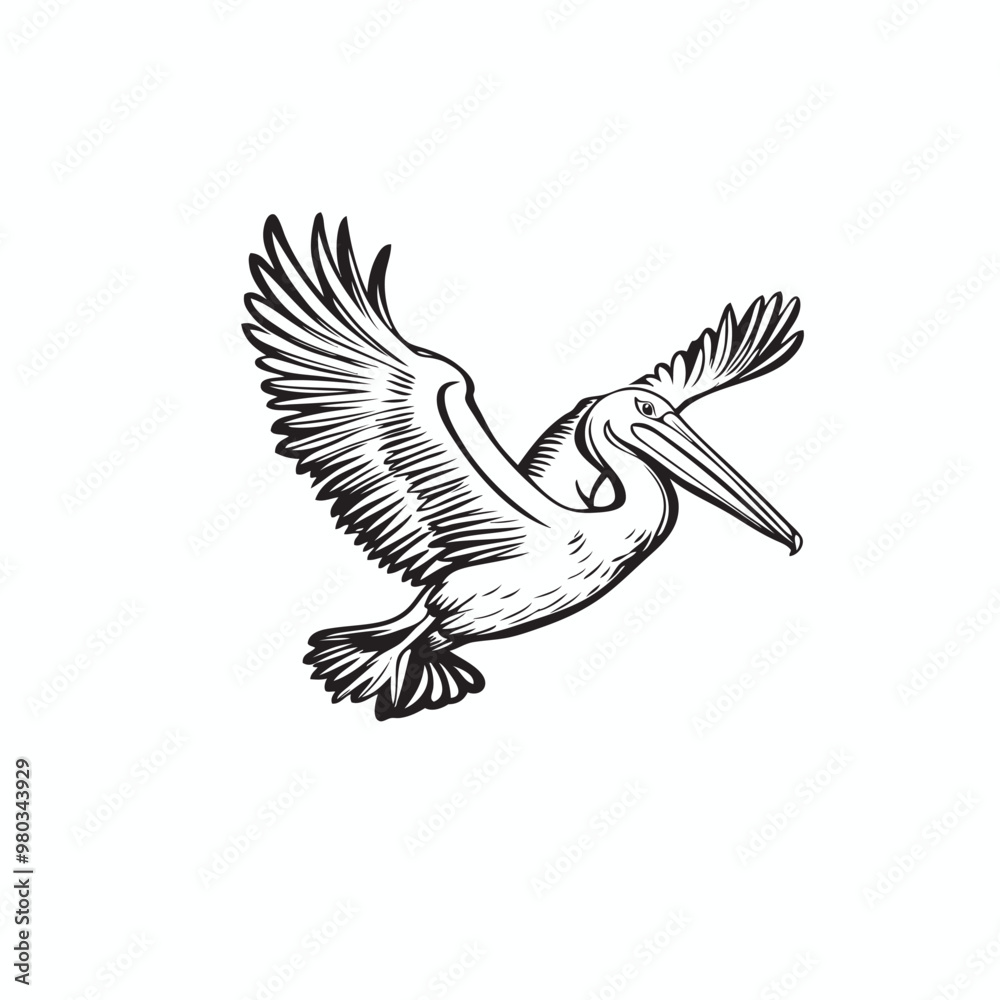 Fototapeta premium illustration of a pelican