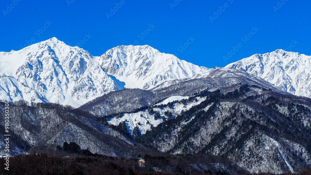 Fototapeta premium 晴れた日の冬の北アルプス 山並み 長野県白馬村