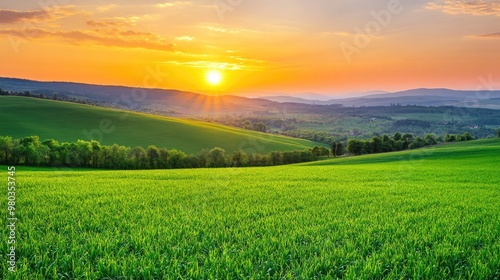 Lush Green Grass in a Vibrant Outdoor Landscape photo