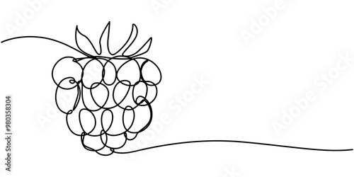 Raspberry vector color illustration, background, sketch banner for label design. One continuous line drawing of raspberry with lettering. Editable black stroke, Raspberry continuous one line drawing