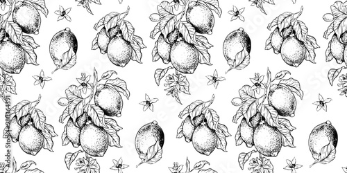 Lemon Branches with fruits leaves, lemon's slices. Hand drawn vector seamless pattern. Print of Tropical citrus fruit. Background for menu, package, cosmetic, textile, cards