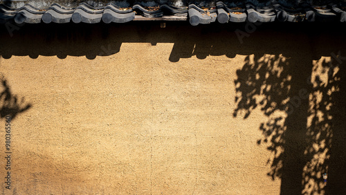 Sunlight on a Traditional Korean Wall

