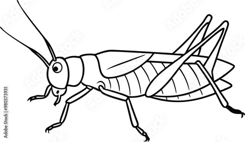 Grasshopper vector line art illustration