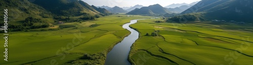 Aerial view of phong nam valley's winding river and verdant landscape for nature posters and prints