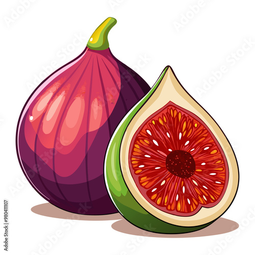 Fresh ripe purple whole and half fig sketch style slices with leaf flat vector illustration. Watercolor painting of ripe purple whole and half fig fruit vector design.
