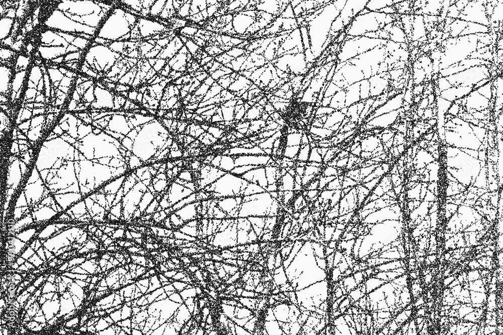Obraz premium tree on sky abstract texture dot art, branch background