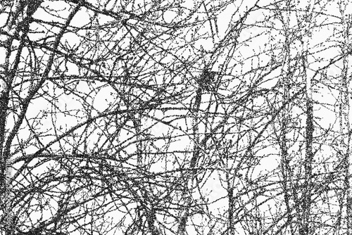 tree on sky abstract texture dot art, branch background
