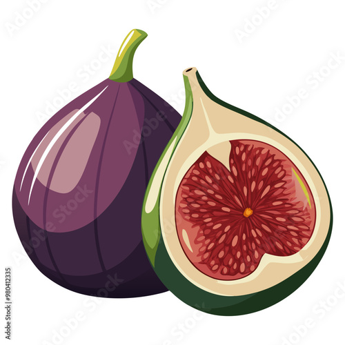 Fresh ripe purple whole and half fig sketch style slices with leaf flat vector illustration. Watercolor painting of ripe purple whole and half fig fruit vector design.