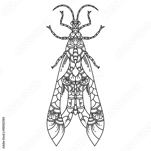 Hand drawn of Dobsonfly in zentangle style photo