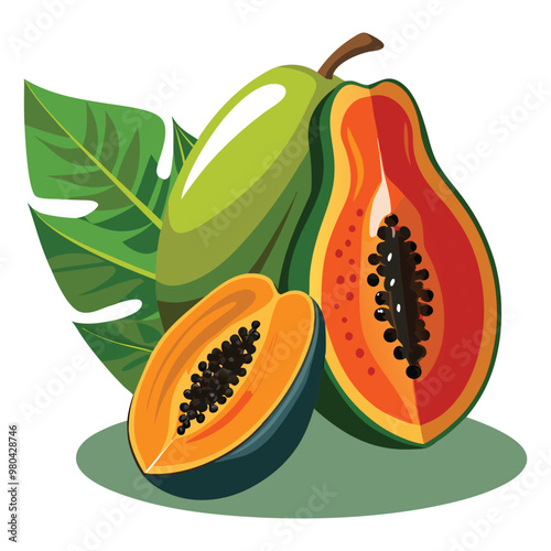 Fresh, bright, exotic whole and sliced colorful papaya with leaf fruit vector illustration, summer-fresh ripe papaya in cartoon-style vector art.