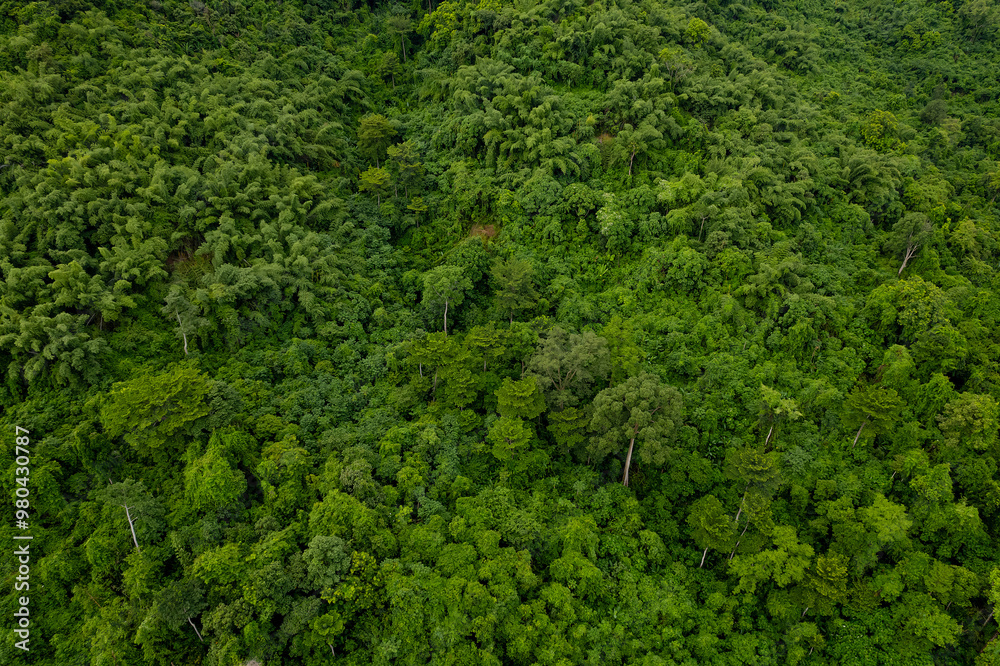 Beautiful aerial top view of green forest in rural Thailand. Beautiful aerial top view of green forest in rural Thailand.