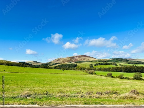 green field and blue sky