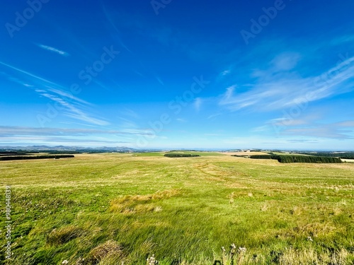 green field and blue sky