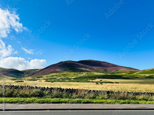 landscape with vineyard