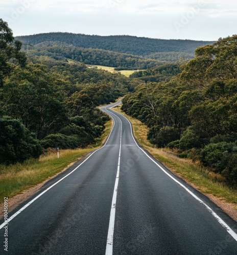 A road that goes up and down surrounded by green vegetation. The trees on both sides of it have white stripes, which make them look like ribbons flowing photo