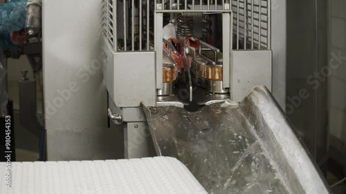 Red fish moves along a conveyor line in a factory	
