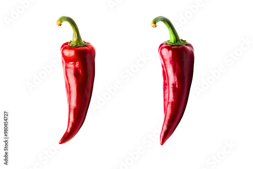 fresh red chili peppers isolated photo