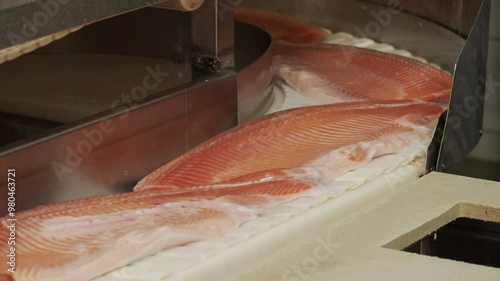 Red fish moves along a conveyor line in a factory