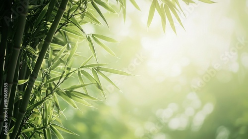 view of beautiful bamboo tree in the morning - ai