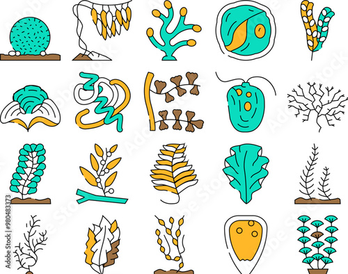 Seaweed Sea Underwater Plant Icons Set Vector. Padina And Japanese Kelp, Sargassum Horneri And Arthrospira Plantesis, Undaria Plumose And Egagropylus Linnaeus Ocean Grow Herb Contour Illustrations