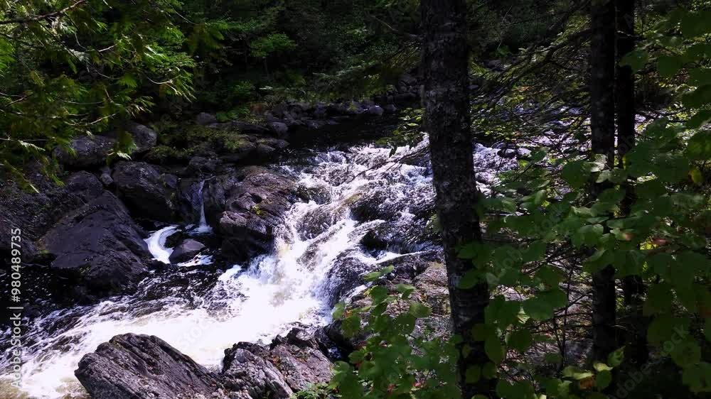 Moxie stream in woods leading to Moxie Falls. Maine's largest waterfall at 90' ending in 17 foot deep pool Moxie stream in woods leading to Moxie Falls. Maine's largest waterfall at 90' ending in 17 foot deep pool