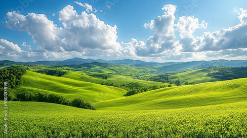 Rolling Green Hills and Blue Sky with Puffy Clouds