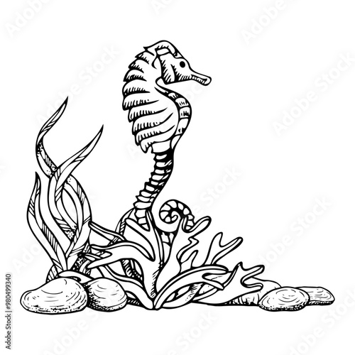 Seahorse among seaweed and seabed stones black and white vector illustration. Monochrome underwater ocean bottom ink drawing. Hand drawn sketch for marine coloring design and nautical print