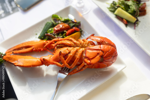 Family with children, having lunch in a restaurant in Coppenhagen, eating local fish and lobster thermidor with salad and fries photo