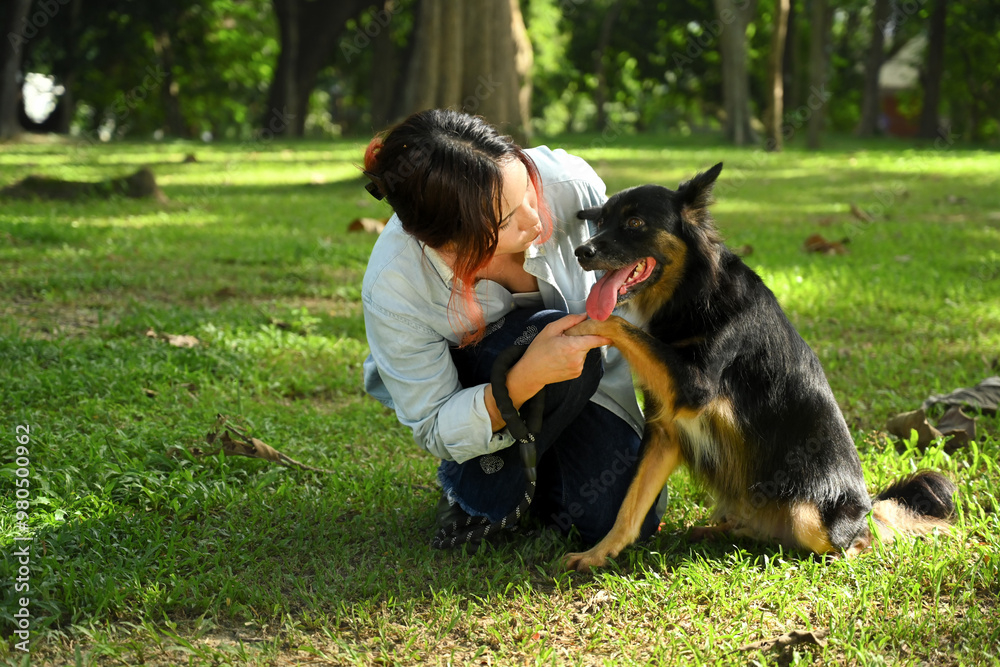 Shot of young woman gently holding the dog paw, affectionate connection between owner and her pet Shot of young woman gently holding the dog paw, affectionate connection between owner and her pet
