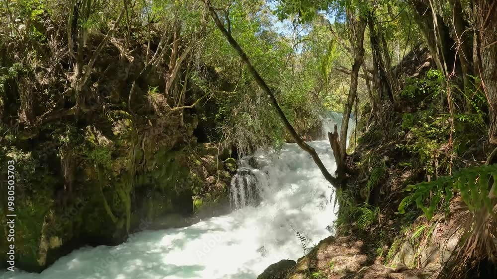 Tarawera Falls: Turquoise Cascades and Scenic Gorge in Bay of Plenty, New Zealand – Scenic Waterfall and Lush Rainforest Views