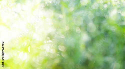 Fotografi Green nature background bokeh leaf nature summer springtime blur sunlight natural fresh foliage environment ecosystem zero carbon envergy change backdrop, mockup product aesthetic beauty organic