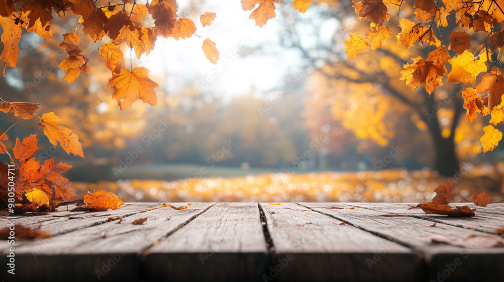 orange fall leaves in park, sunny autumn natural background
