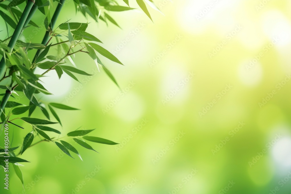 Beautiful green bamboo with blur bokeh nature background Beautiful green bamboo with blur bokeh nature background