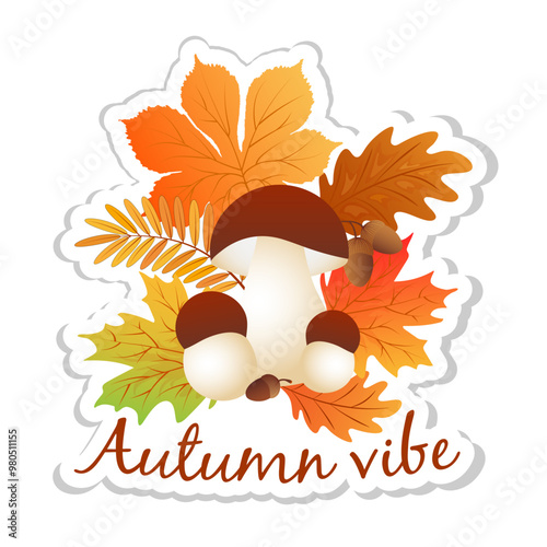 Sticker with autumn maple and chestnut leaves, acorns,oak leaves, rowan leaves, mushrooms on white background.