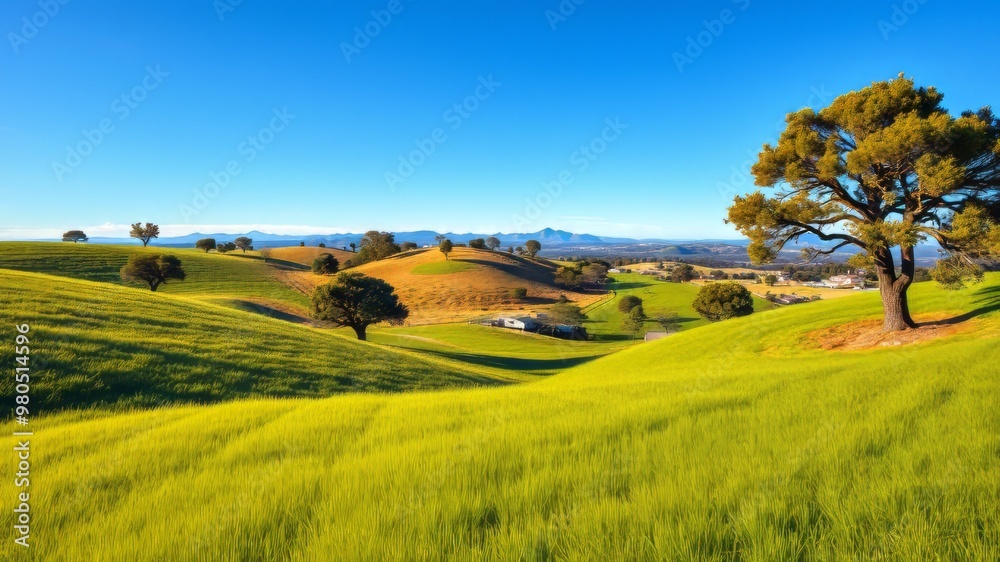 Naklejka premium A serene, rolling hillside landscape in Montecito, California, features lush green grass, scattered oak trees, and a