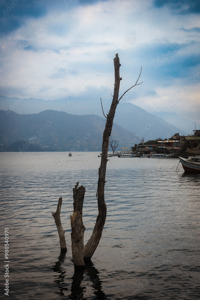 A solitary tree trunk rises from the calm waters of Lake Atitlan in Guatemala, surrounded by misty mountains and tranquil reflections A solitary tree trunk rises from the calm waters of Lake Atitlan in Guatemala, surrounded by misty mountains and tranquil reflections