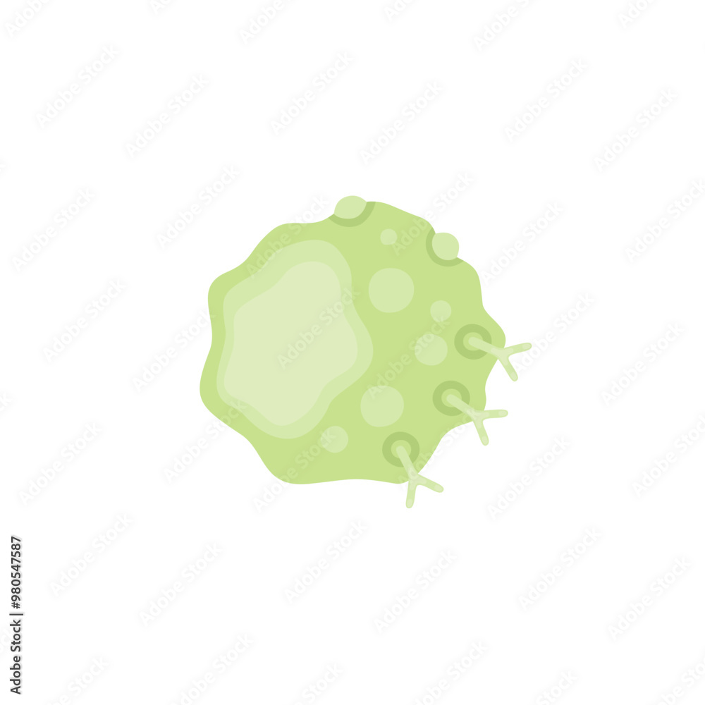 Mast Cell Illustration Mast Cell Illustration