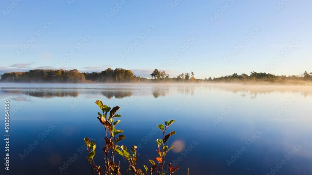 Branch with autumn leaves by a lake with mist at early morning Branch with autumn leaves by a lake with mist at early morning