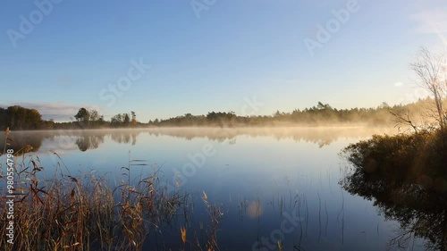 Morning light at a lake with mist in a forest landscape