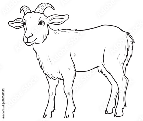 Goat on a white background goat art line coloring page  photo