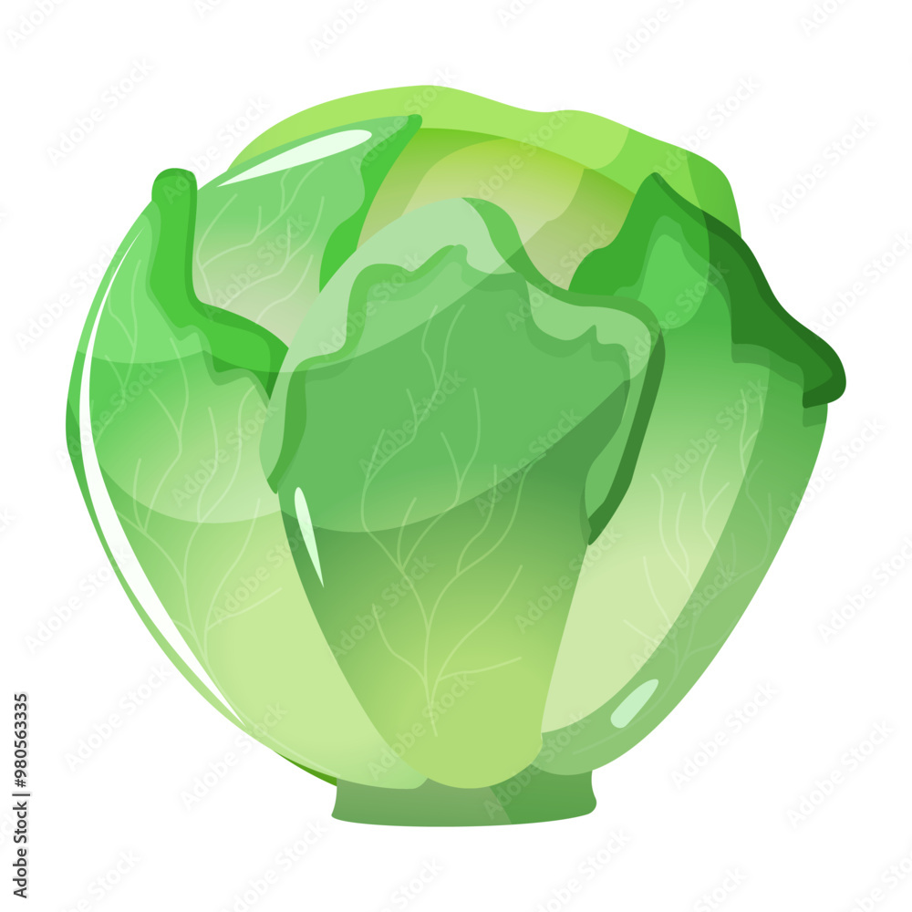 Cabbage is a leafy green, red, vegetable round head and crisp texture. It s rich in vitamins, fiber, and antioxidants, ideal for salads or cooked dishes. Cabbage is a leafy green, red, vegetable round head and crisp texture. It s rich in vitamins, fiber, and antioxidants, ideal for salads or cooked dishes.