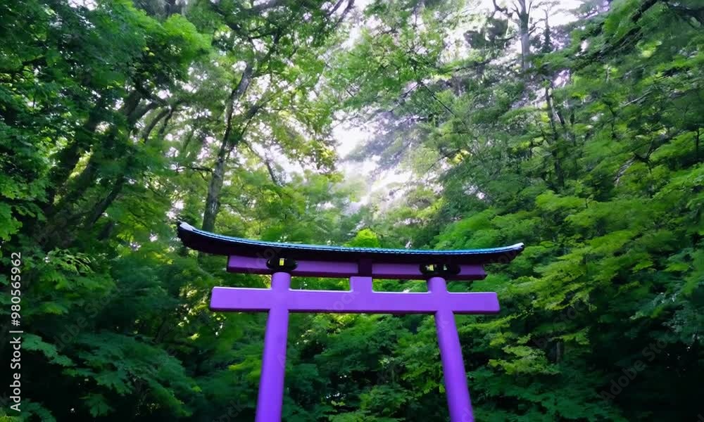 Purple Torii Gate in a Lush Forest Purple Torii Gate in a Lush Forest