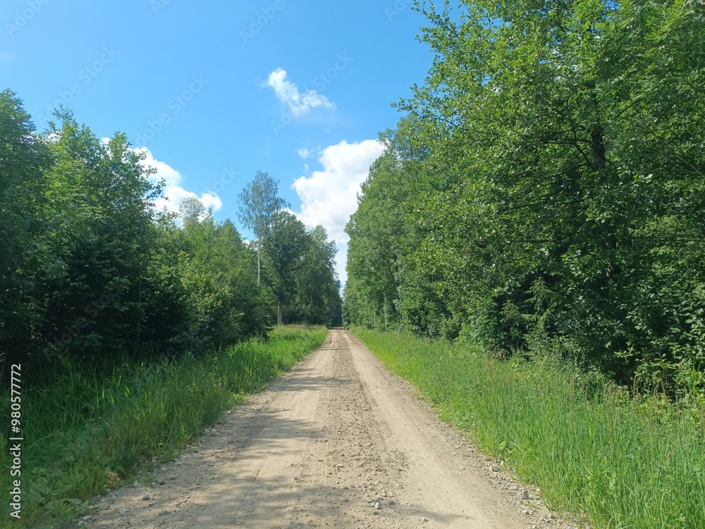Road in forest in Siauliai county during sunny summer day. Oak and birch tree woodland. Sunny day with white clouds in blue sky. Bushes are growing in woods. Sandy road. Nature. Summer season. Miskas. Road in forest in Siauliai county during sunny summer day. Oak and birch tree woodland. Sunny day with white clouds in blue sky. Bushes are growing in woods. Sandy road. Nature. Summer season. Miskas.